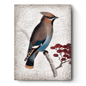 Waxwing T485