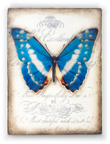 Metamorphosis T373 Sid Dickens Memory Block