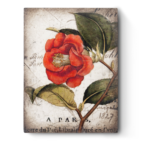 Red Camelia T404 Sid Dickens Memory Block