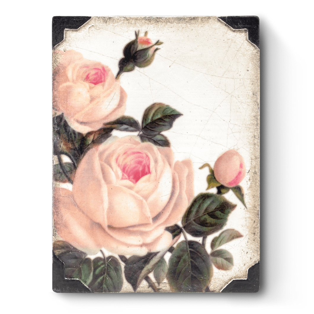 Gentle Rose T464 Sid Dickens Memory Block